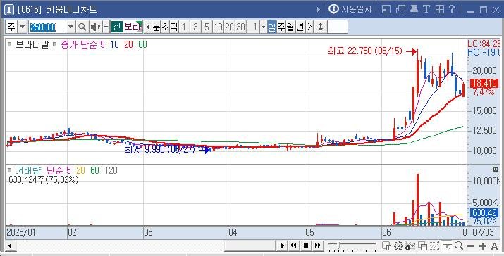 소금테마주 보라티알차트