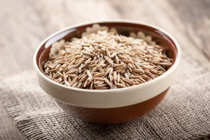 귀리 효능: 콜레스테롤 감소와 소화기 건강에 좋은 선택 3 귀리-효능-아베나-사티바