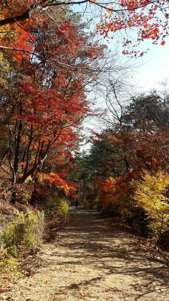 등산 초보자를 위한 완벽한 가이드 4 북한산-둘레길