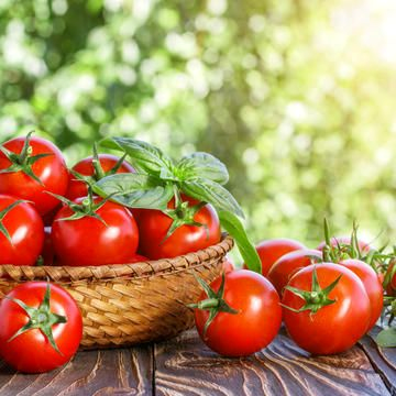 심장 건강과 피부 보호를 위한 토마토의 라이코펜 효능 2 라이코펜-효능-토마토