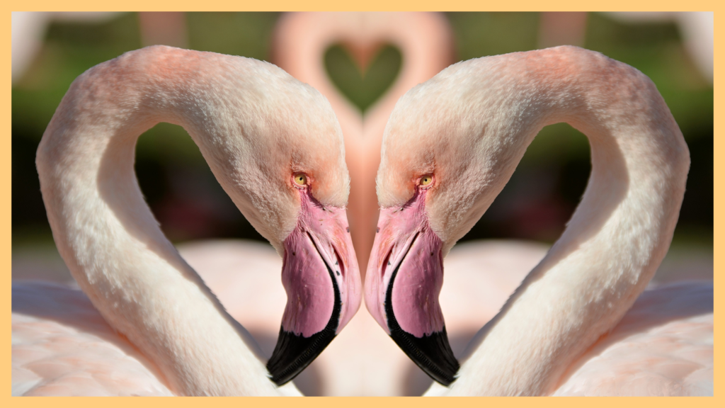 사랑하는 연인 사이 절대 해서는 안되는 말 1 사랑하는-연인-사이-절대-해서는-안되는-말