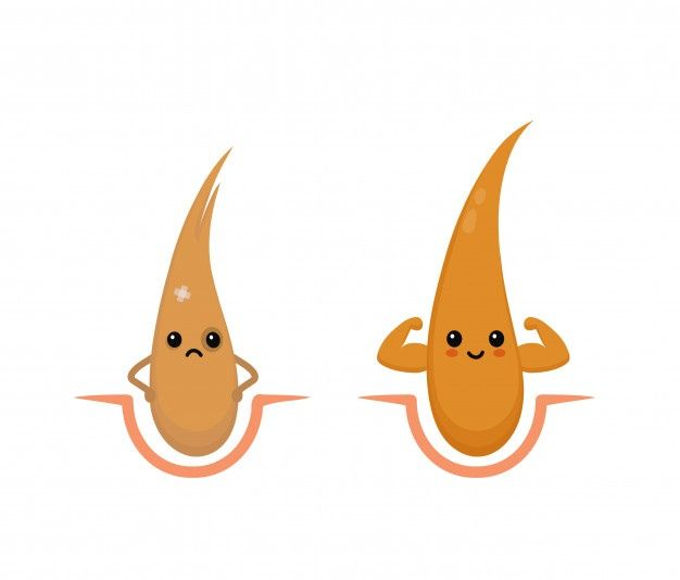 집에서 쉽게 따라하는 모발 성장 관리 비법 1 모발-성장