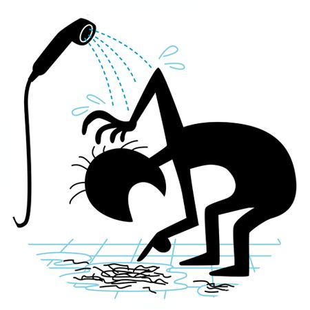 집에서 쉽게 따라하는 모발 성장 관리 비법 2 모발-성장