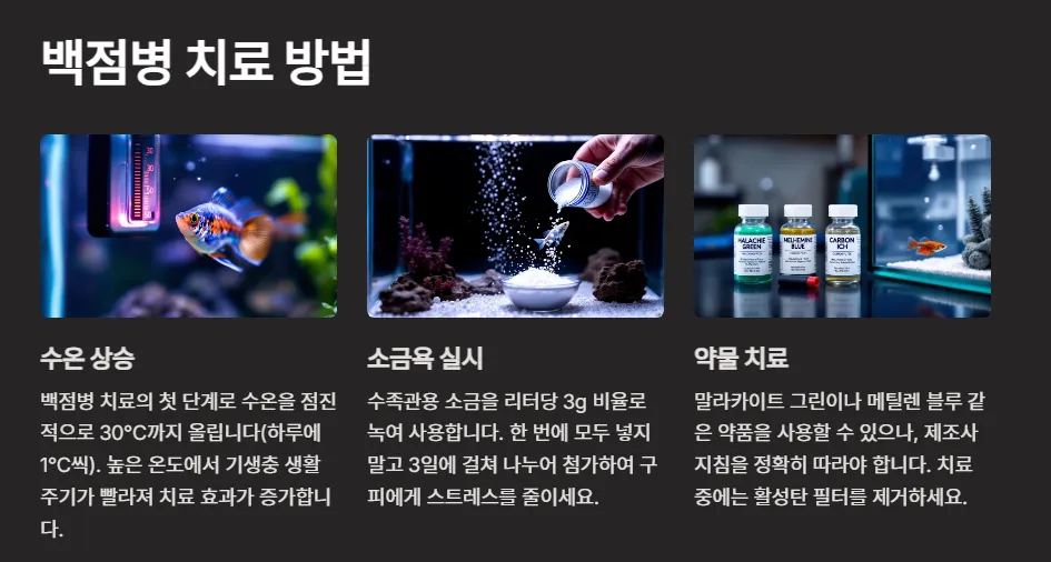 구피 백점병 완전 정복: 증상부터 치료까지 알아보기 2 백점병-치료