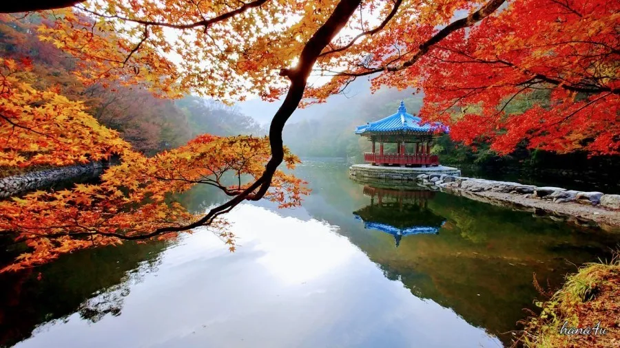 "가을의 아름다움을 만끽하는 단풍 여행지 추천" 4 단풍-여행지-내장산