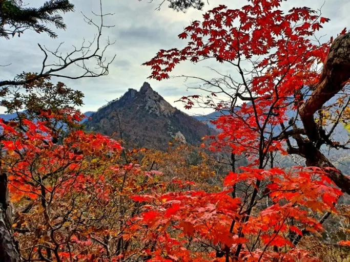 "가을의 아름다움을 만끽하는 단풍 여행지 추천" 1 단풍-여행지-설악산