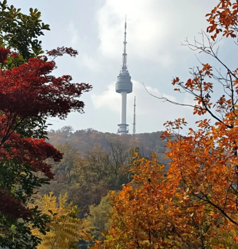 "가을의 아름다움을 만끽하는 단풍 여행지 추천" 3 단풍-여행지-서울타워