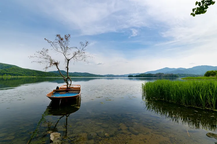 경기도 드라이브 코스 추천: 애인과 함께 떠나는 낭만 여행 5선 (2025년 최신판) 1 경기도-드라이브0코스