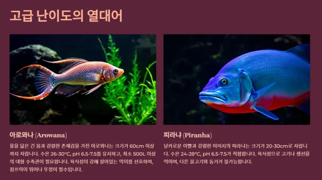 열대어 종류별 특징과 난이도 알아보기: 초보자부터 전문가까지 4 고급-난이도-열대어