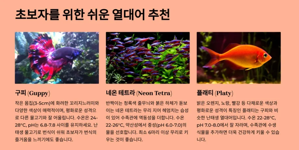 열대어 종류별 특징과 난이도 알아보기: 초보자부터 전문가까지 2 초보자-열대어-추천