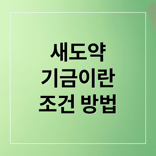새도약기금: 빚 탕감 조건, 신청 방법, 대상자 조회 완벽 가이드