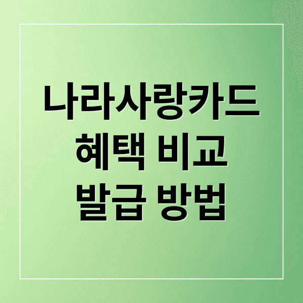 나라사랑카드 완벽 분석: 혜택 비교 (KB국민 vs IBK기업) & 발급/재발급 A to Z