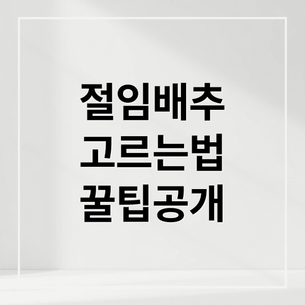 절임배추 구매 가이드: 예약 시기, 가격 비교, 보관 꿀팁
