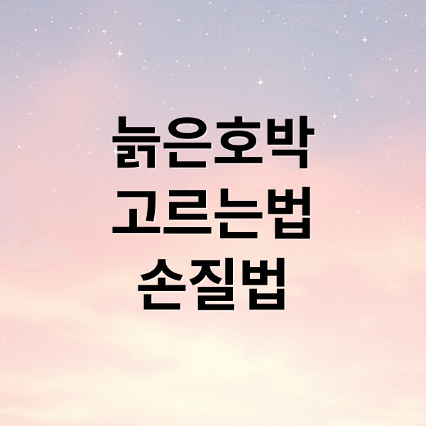 늙은 호박 완벽 가이드: 고르는 법, 손질, 보관, 씨앗 활용 & 레시피